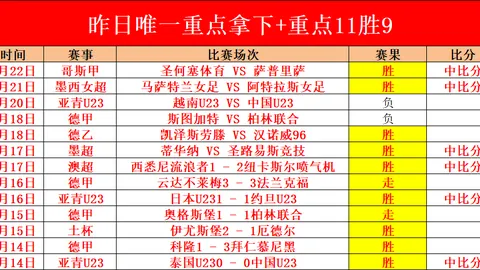 [德甲]波鸿逆袭成功 贝罗射门逆转领先